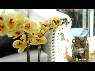 best зрелая пухлая блондинка codi vore эффектно трясет своими большими сиськами и хочет разврата телочка эротично best