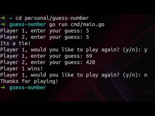 best github copilot makes a cli game in golang from scratch best