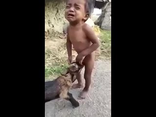best видео от кака пися скр скр мемы приколы ржака кака best