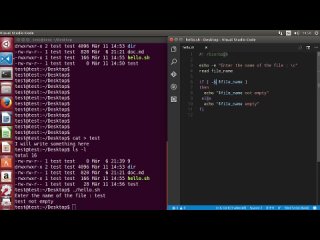 best shell scripting tutorial for beginners 6 file test operators best