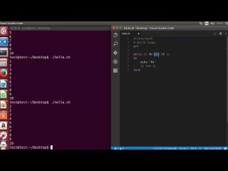 best shell scripting tutorial for beginners 15 while loops best