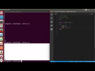 best shell scripting tutorial for beginners 18 until loop best