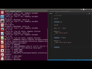 best shell scripting tutorial for beginners 26 readonly command best