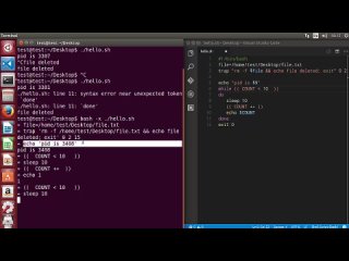 best shell scripting tutorial for beginners 28 how to debug a bash script best