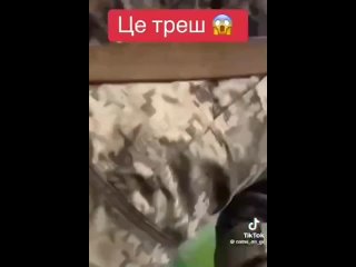 best очередное душераздирающее видео из украины появилось в сети best