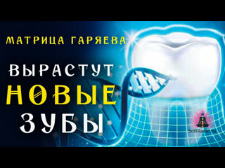 best матрица гаряева для полного восстановления зубов softradio ru best