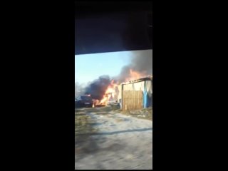 best в новосибирске поселок ленинский моральный урод поджог молодые видео от зоозащита helpninsk зоополиция best