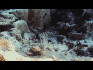 best проклятье волчьей горы 2023 все молодые 23112023200620 mpeg 4 720p mp4 best