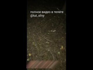 best либо я тебя убью нахй либо раздевайся в лесу заставил раздеться студентка школьница заставил сосать сосет минет best
