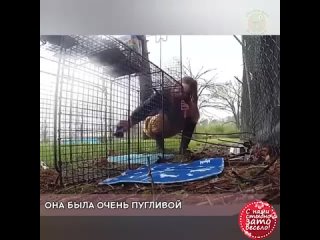 best беременная молодые скиталась по улице не подозревая что помощь совсем рядом best