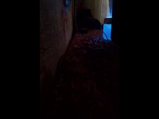 best соседка шлюха тупая проснулась началось недотрах веселье дикий орет как хочет best