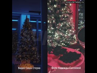 best похоже саша стоун больше не одинок после болезненного расставания с валей карнавал 25 летний блоге best