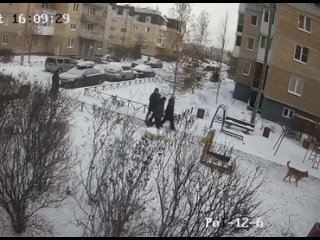 best в питере молодые без поводка и намордника разорвала маленького пса и покусала его хозяина best