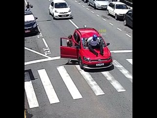 best водитель авто решил пропустить бедную собачку на пешеходном переходе но мотохруст оказался не внимательным и best