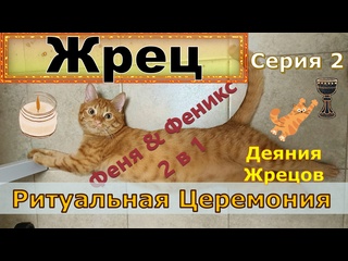 best жрец ритуальная церемония серия 2 деяния жрецов кот феня он же феникс best