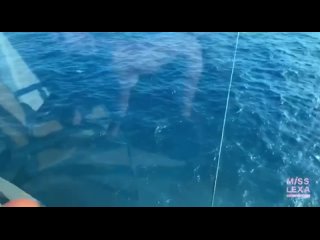 best грудастая чикуля смачно порится с богатым перцем на корабле best