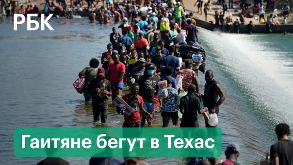 best расплодившиеся бездарные негры неспособные организовать жизнь у себя в стране бегут за подачкой к ненавистным best