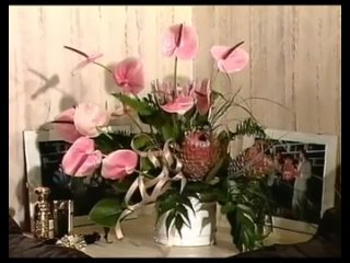 best teresa orlowski compilation 1 best