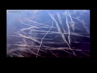 best сумасшедшие сектанты сошли с ума пришло время их остановить best