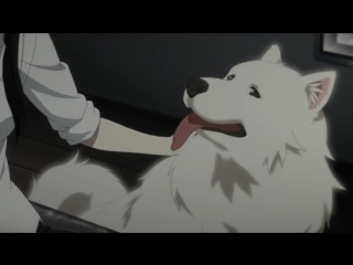 best dark demon grandina сакурако на костях sakurako san no ashimoto ni wa shitai ga umatteiru 04 best