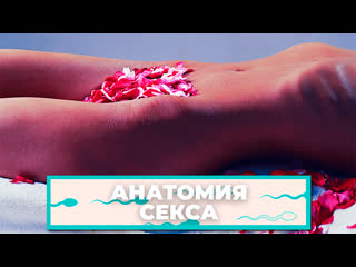 best анатомия секса как заниматься сексом во время месячных best