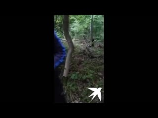 best работайте братья смерть магомеда нурбагандова полное видео best