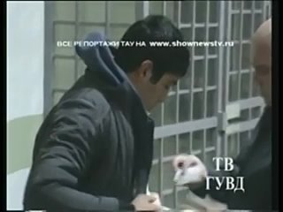 best тау беглые узбеки забившие соплеменника камнями попались на урале best