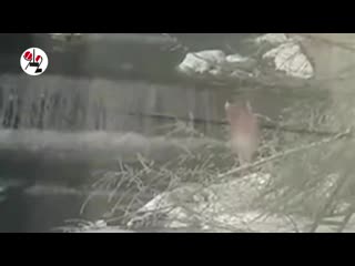best началось голая купалась в водопаде real video best