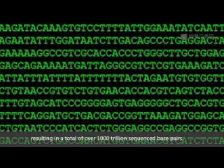 best bioinformatics introduction and methods 生物信息学 导论与方法 best