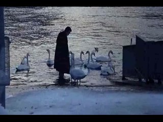 best невыносимая легкость бытия the unbearable lightness of being 1988 г сша эротическая ретро драма лесби фильм best