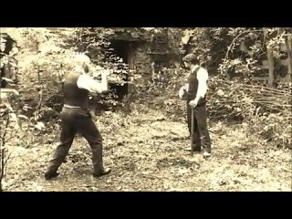 best ирландская трость показательные выступления best