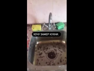 best бабушка собралась сдавать квартиру с интересными соседями best