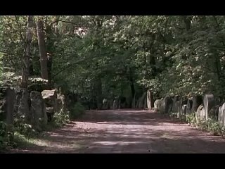 best черное солнце сс мифологические предпосылки национал социализма the occult roots of nazism ss германия 2003 best