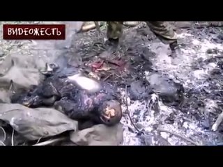 best армия украины применяет молодые оружие против мирных жителей видеожесть best