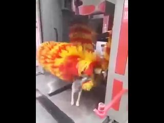 best и помылась и напилась умничка best