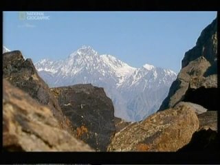 best только не говорите маме что я в пакистан best