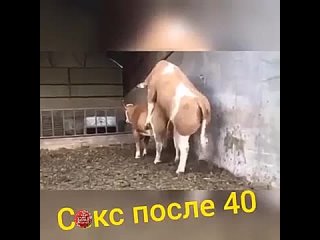 best любые попытки заняться сексом после 40 лет best