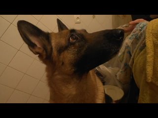 best перемена настроения в доли сек 6 sec best