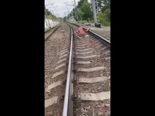 best в сочи парочка не удержалась и начала заниматься сексом прямо на жд путях best