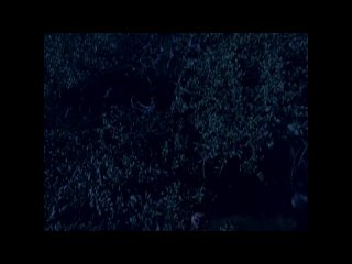 best большой плохой волк волк оборотень big bad wolf 2006 лицензия public40911932 best