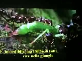 best доктор симончини рак это грибок сода натуральный антибиотик best