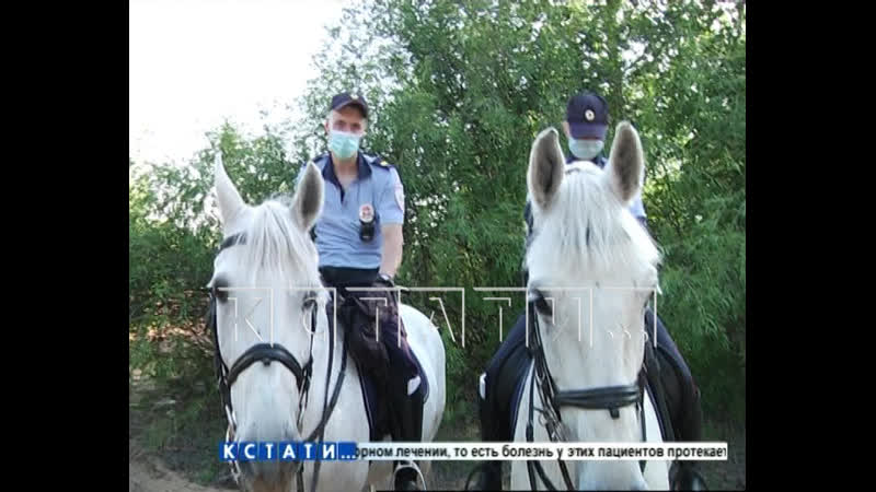 best нижегородская полиция третий день решает что делать с сексуальной оргией на гребном канале best
