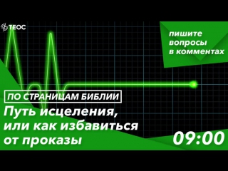 best книга левит от маленького пятнышка к смертельному исходу best