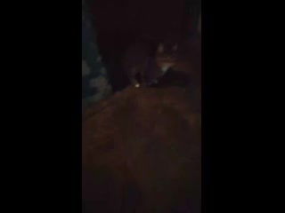 best own vid 20210309 075737 mp4 best