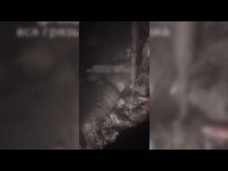 best какая третья линия обороны мы измотаны 4 часа сидим бьют по нам без перерыва если это третья линия то добро best