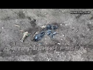best группироа войск днепр херсонское направление 07 01 2024 г цена небольшого плацдарма на левом берегу днепра а еще best