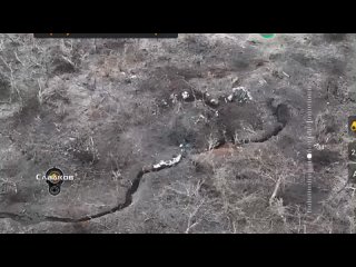 best пятая бригада южная группироа войск каждый день идем вперёд это простой отрезок хроники штурма сегодня дам большое best