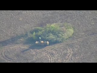 best минобороны рф опубликовало кадры поражения пу и рлс trml 4d немецкой зрк iris t slm всу в зоне сво удар best