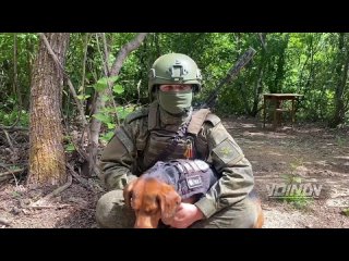 best группироа ми ми докладывает корреспондент воин dv в ходе очередной вылазки нам преградил дорогу свирепый зверь best