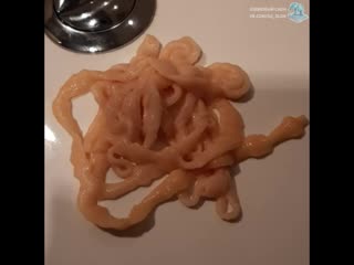 best ленточный червь cestoda из кишечника человека best
